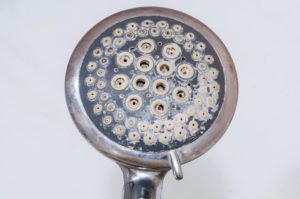 How to clean  your shower and showerhead posted by Bety Most Agency
