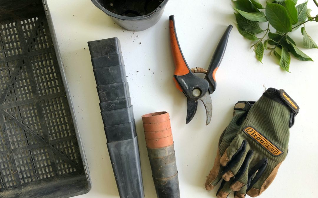 How to get your garden ready for summer, gardening tools and gloves on a white background